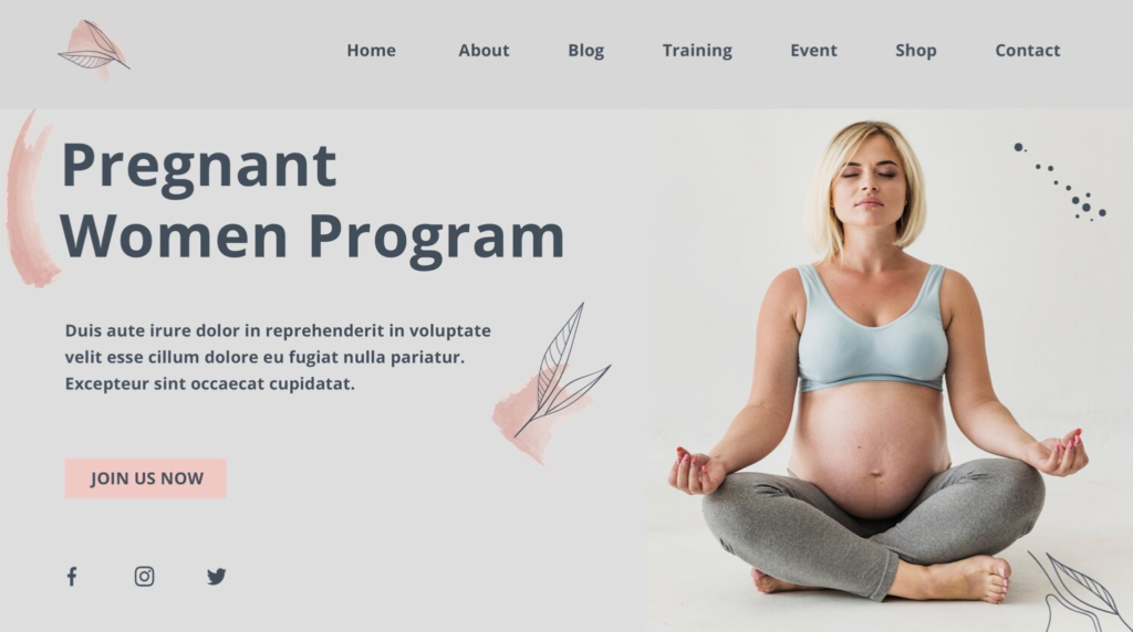 Pregnancy website